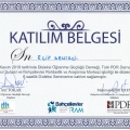 Resmi büyüt: certificate 29