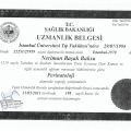 Resmi büyüt: certificate 19
