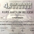Resmi büyüt: certificate 3