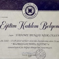 Resmi büyüt: certificate 1