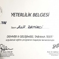 Resmi büyüt: certificate 13
