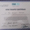 Resmi büyüt: certificate 7