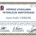 Resmi büyüt: certificate 16