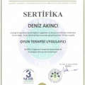 Resmi büyüt: certificate 13