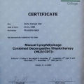 Resmi büyüt: certificate 3