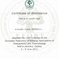 Resmi büyüt: certificate 33