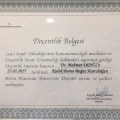 Resmi büyüt: certificate 1