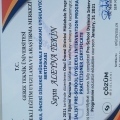 Resmi büyüt: certificate 7