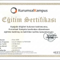 Resmi büyüt: certificate 17