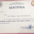 Resmi büyüt: certificate 2