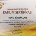 Resmi büyüt: certificate 15
