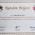 Resmi büyüt: certificate 5