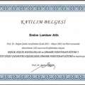 Resmi büyüt: certificate 12