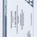Resmi büyüt: certificate 4