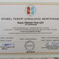 Resmi büyüt: certificate 6