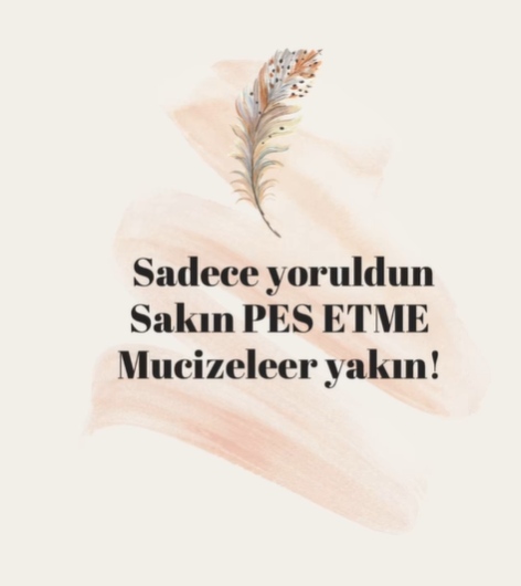 Nazan Dirik Şahin-7