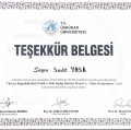 Resmi büyüt: certificate 8