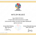 Resmi büyüt: certificate 10