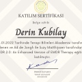 Resmi büyüt: certificate 1
