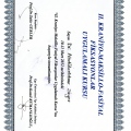 Resmi büyüt: certificate 9