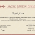 Resmi büyüt: certificate 7
