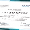 Resmi büyüt: certificate 12