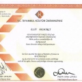 Resmi büyüt: certificate 1