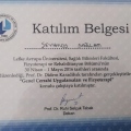 Resmi büyüt: certificate 15