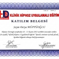 Resmi büyüt: certificate 4