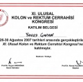 Resmi büyüt: certificate 26