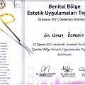 Resmi büyüt: certificate 3