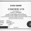Resmi büyüt: certificate 2