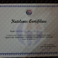 Resmi büyüt: certificate 30
