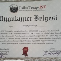 Resmi büyüt: certificate 10