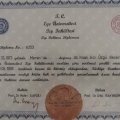 Resmi büyüt: certificate 6