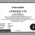 Resmi büyüt: certificate 13