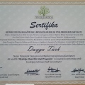 Resmi büyüt: certificate 11