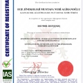 Resmi büyüt: certificate 4