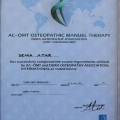 Resmi büyüt: certificate 11