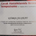 Resmi büyüt: certificate 1