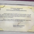Resmi büyüt: certificate 9