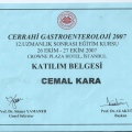 Resmi büyüt: certificate 3