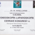 Resmi büyüt: certificate 2