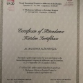 Resmi büyüt: certificate 6