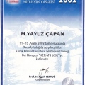 Resmi büyüt: certificate 33