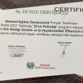 Resmi büyüt: certificate 24