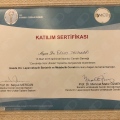 Resmi büyüt: certificate 8