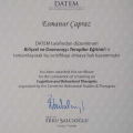 Resmi büyüt: certificate 9