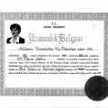 Resmi büyüt: certificate 3