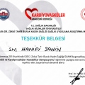 Resmi büyüt: certificate 12